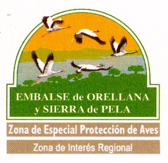 zir-orellana