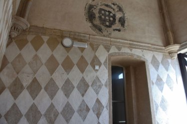 IMG_1753-(1500x1000)