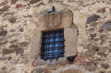 IMG_1792-(1500x1001)