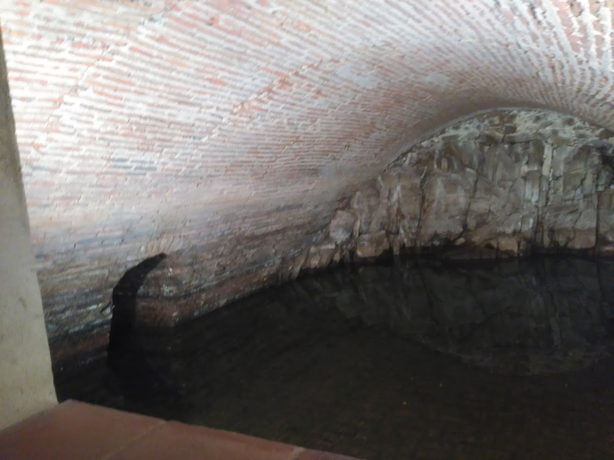 IMG_20171016_111031 (1210x908)