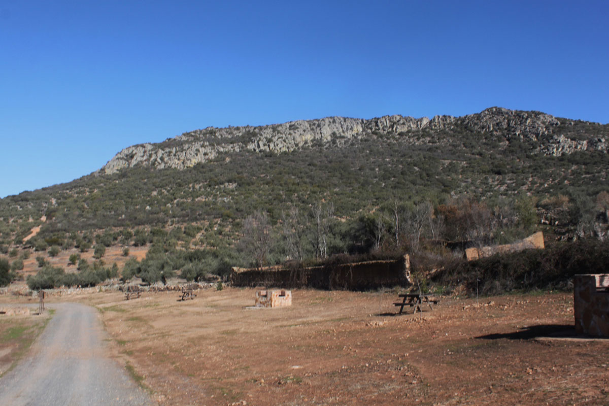 IMG_2705-(1500x1000)