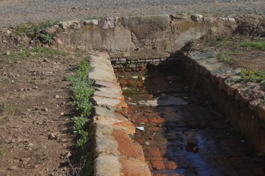 IMG_2710-(1500x1000)