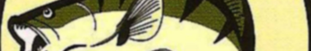 actividades-extremadura-profishing copia