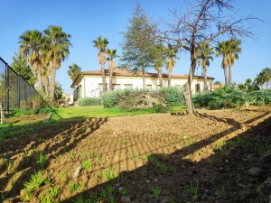 Huerto Pisos Tutelados